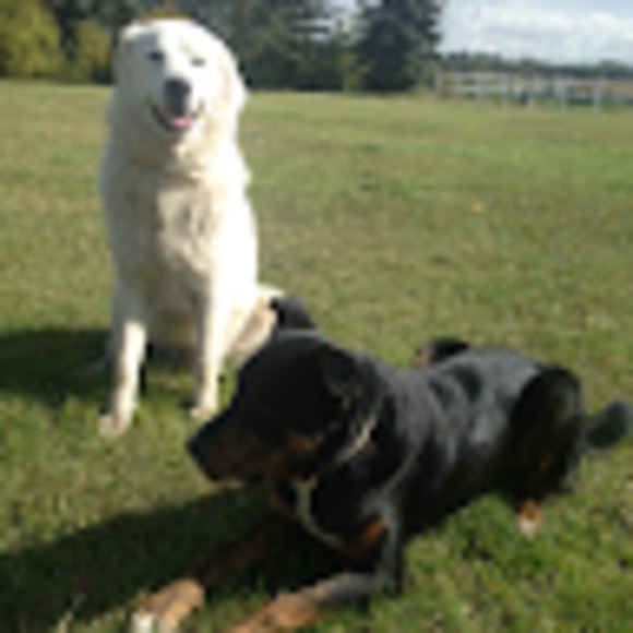 Meet your Posher, Habba - Picture 1 of 1